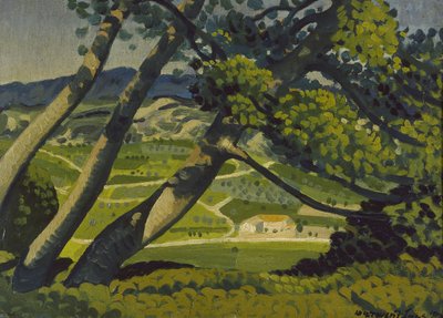 Bomen, Provence, 1912 door Derwent Lees